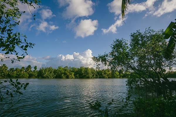 云体育入口冷门：勇士休赛期签希尔德，库里有了靠谱帮手