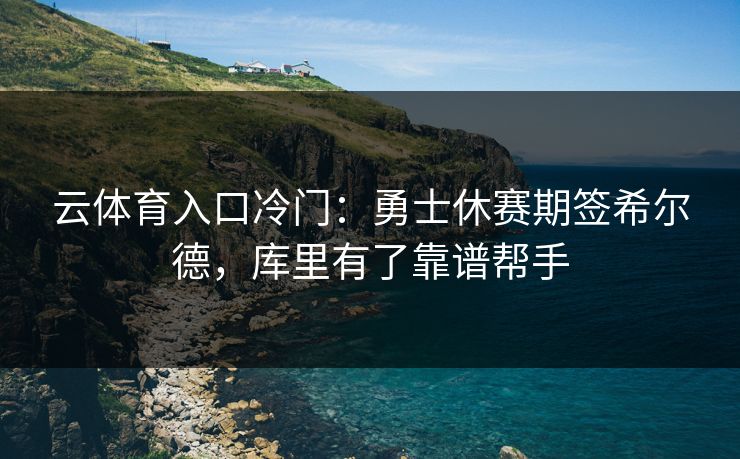 云体育入口冷门：勇士休赛期签希尔德，库里有了靠谱帮手